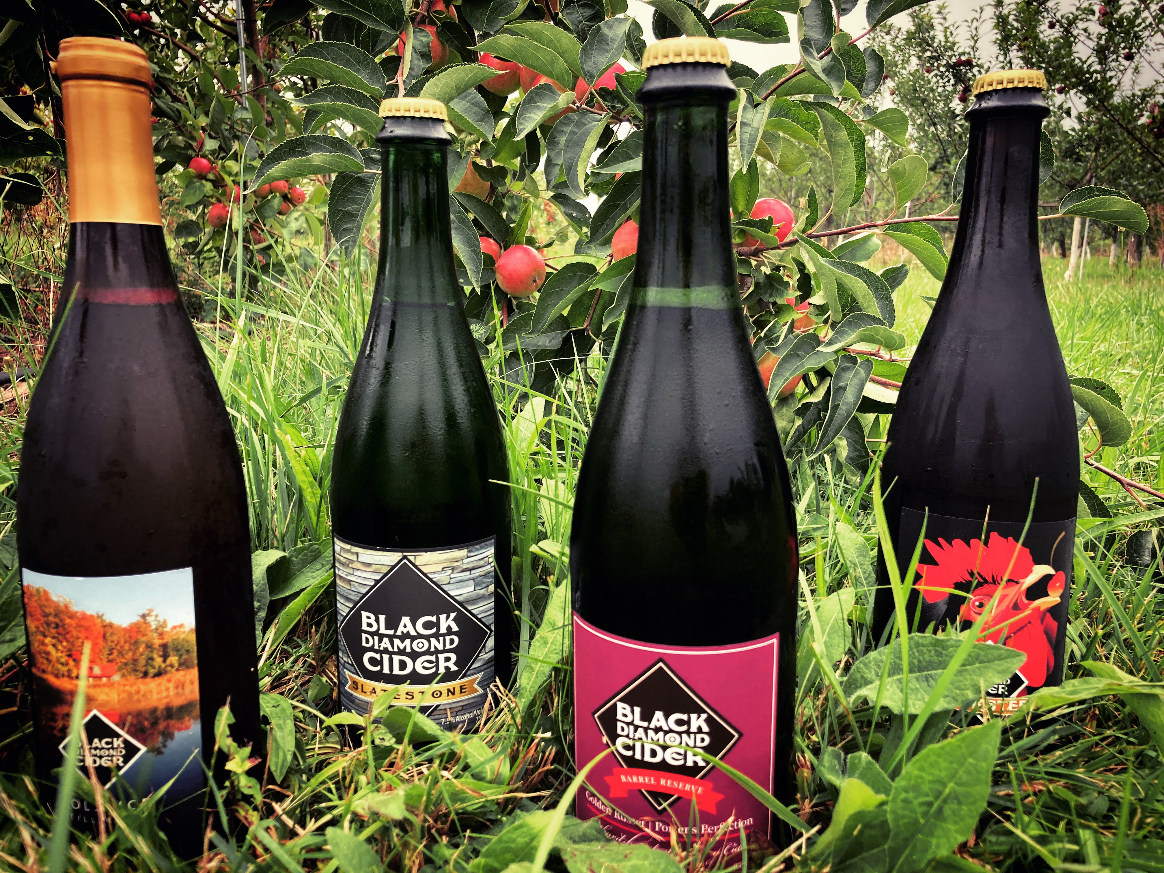 Black Diamond Farm & Cider photo
